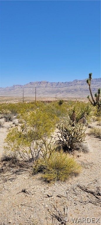 0.48 Acres of Residential Land for Sale in Meadview, Arizona