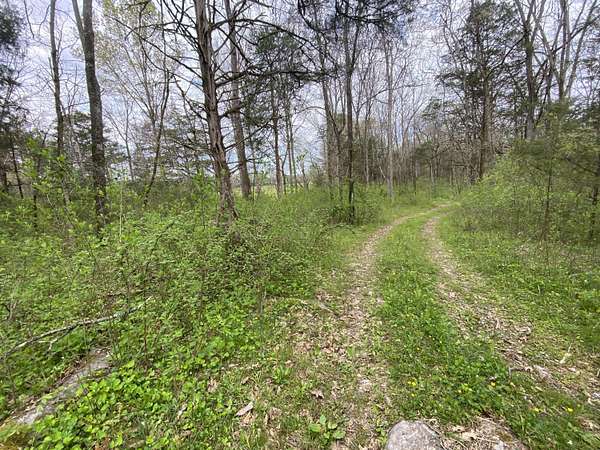 7.27 Acres of Land for Sale in Pennington Gap, Virginia