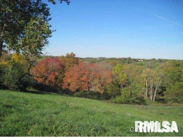 0.52 Acres of Residential Land for Sale in Petersburg, Illinois