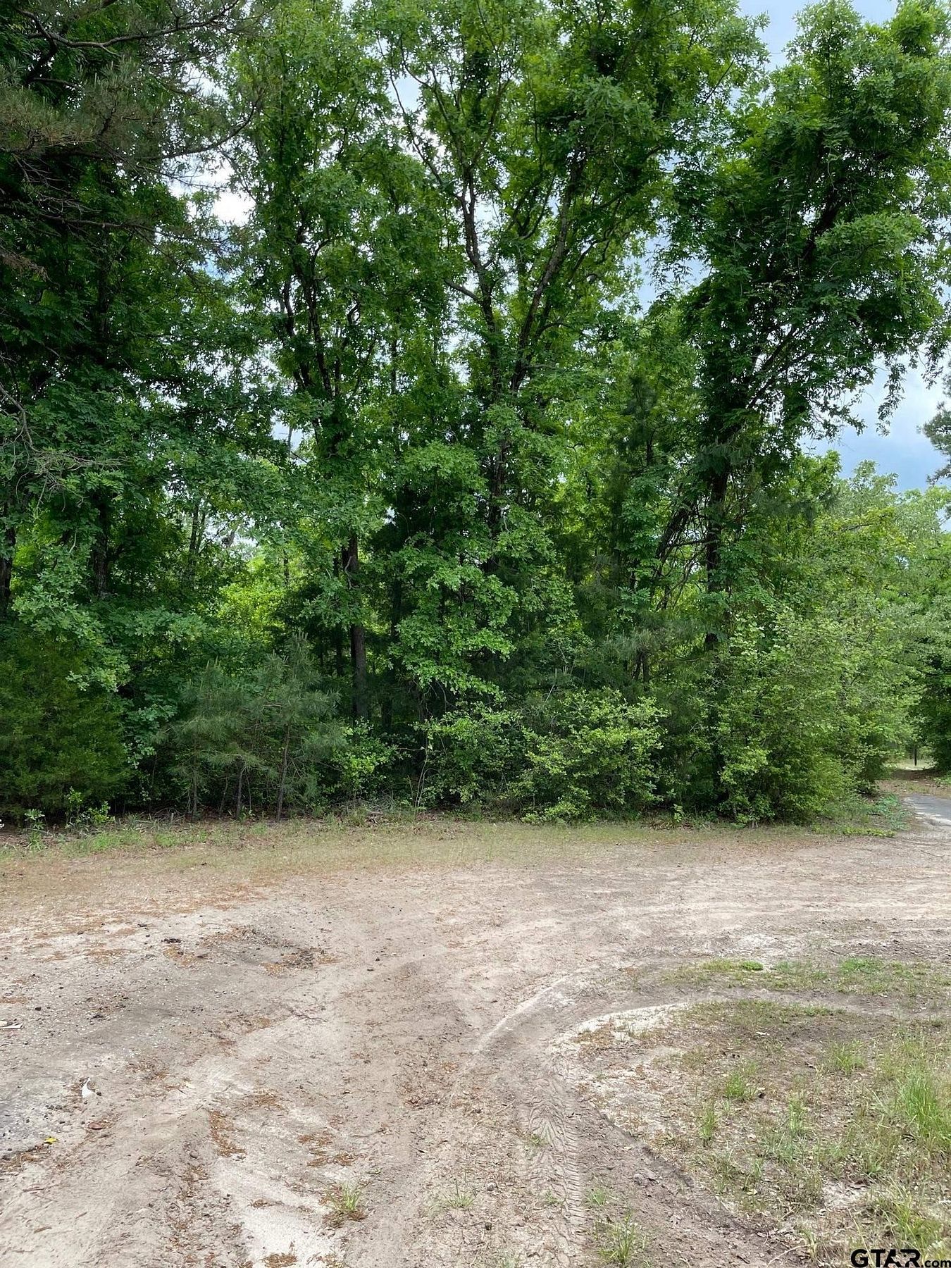 0.15 Acres of Residential Land for Sale in Holly Lake Ranch, Texas