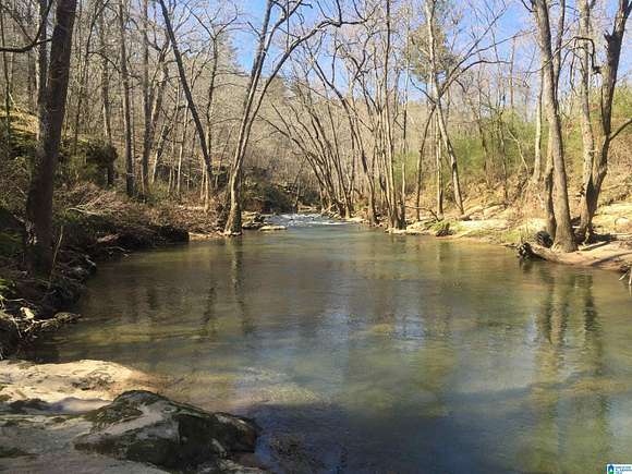 31 Acres of Recreational Land & Farm for Sale in Holly Pond, Alabama