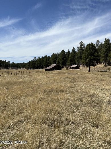 7.7 Acres of Residential Land for Sale in Alpine, Arizona
