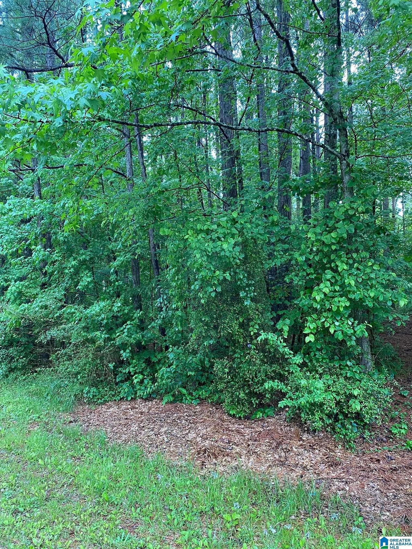 1.3 Acres of Residential Land for Sale in Moody, Alabama