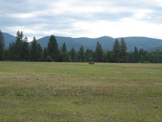 20 Acres of Agricultural Land for Sale in Seeley Lake, Montana
