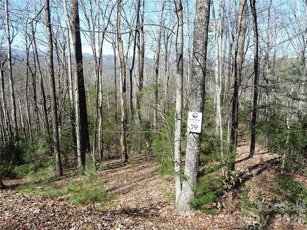 2.6 Acres of Residential Land for Sale in Rosman, North Carolina