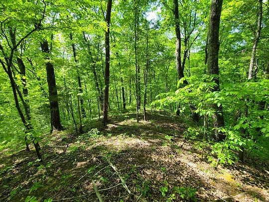6.2 Acres of Residential Land for Sale in Parrottsville, Tennessee