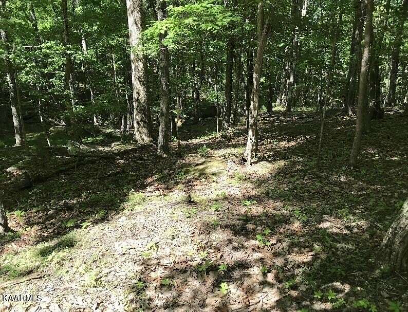 0.57 Acres of Land for Sale in Fairfield Glade, Tennessee