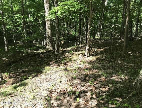 0.57 Acres of Land for Sale in Fairfield Glade, Tennessee