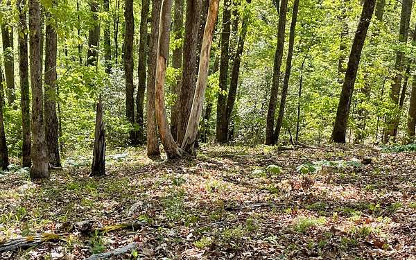 1.13 Acres of Residential Land for Sale in Hayesville, North Carolina