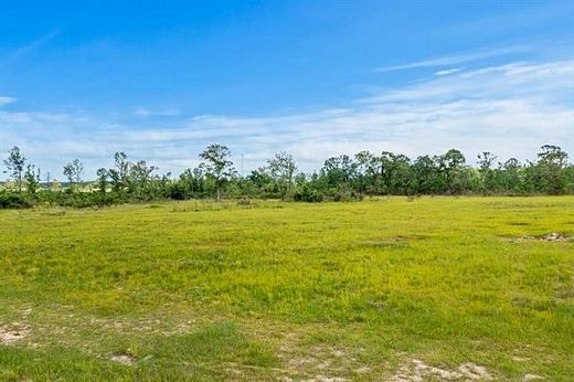 40 Acres of Land for Sale in Reeves, Louisiana