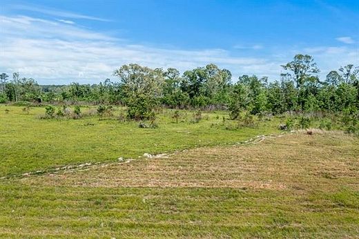 20 Acres of Land for Sale in Reeves, Louisiana