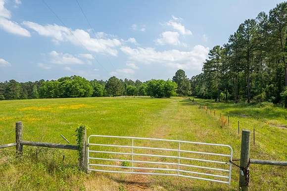 103.293 Acres of Recreational Land & Farm for Sale in Palestine, Texas