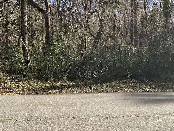 6.9 Acres of Land for Sale in Crawfordville, Florida