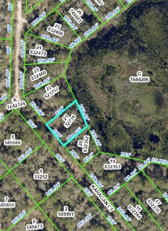 0.29 Acres of Land for Sale in Webster, Florida