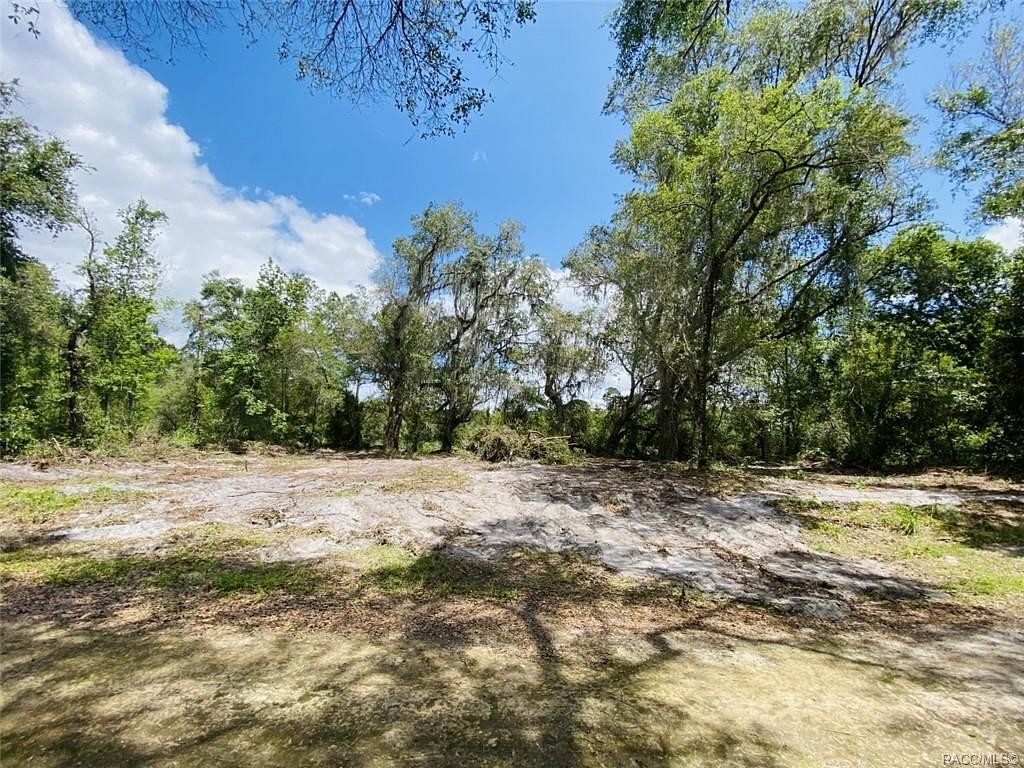 0.29 Acres of Land for Sale in Webster, Florida