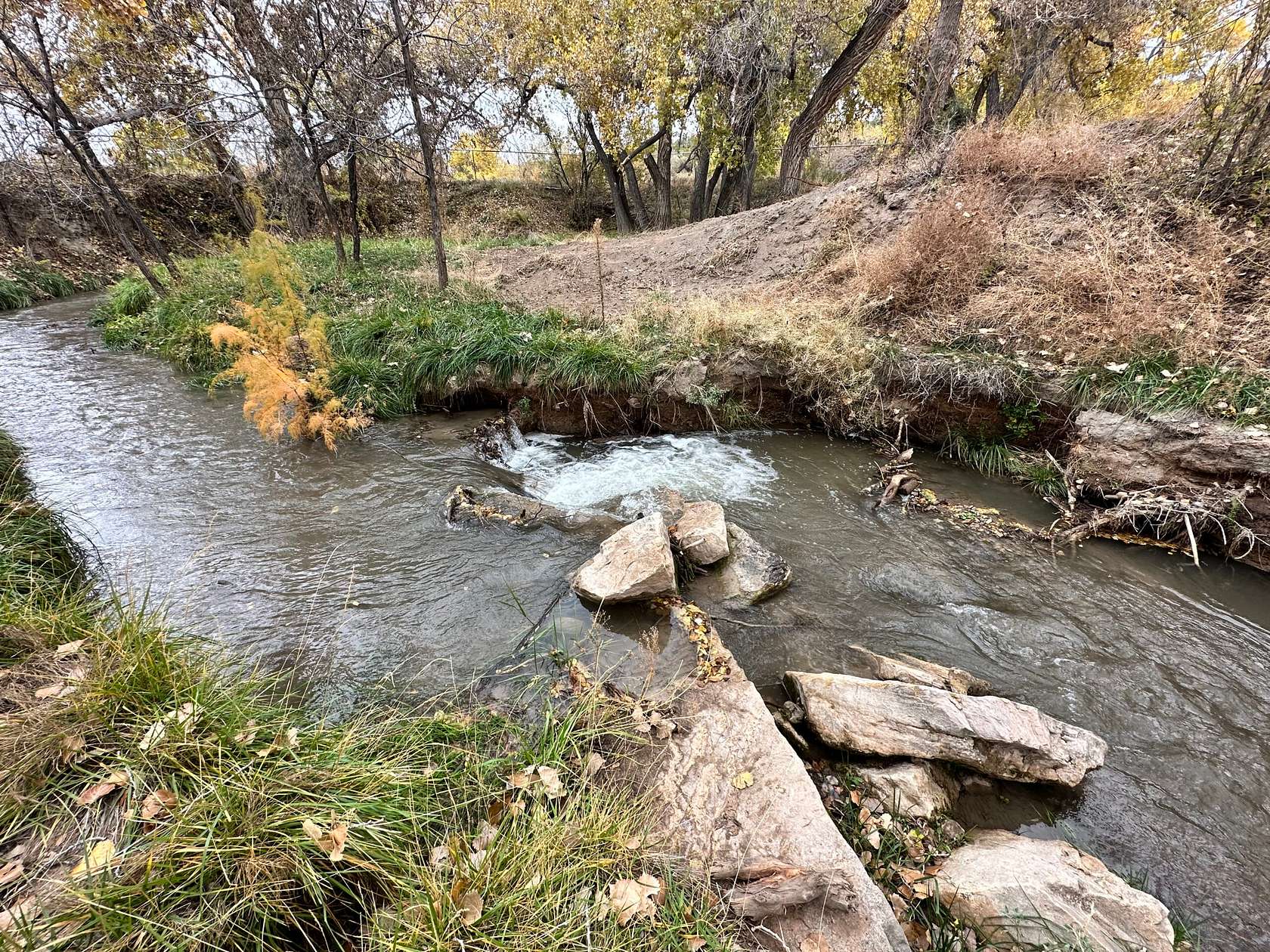 87.5 Acres of Recreational Land & Farm for Sale in Bent, New Mexico