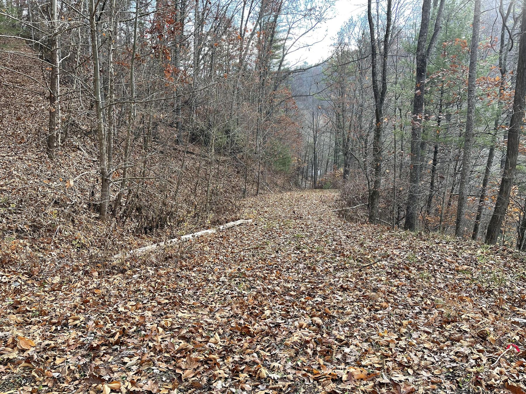 38.3 Acres of Land for Sale in Mountain City, Tennessee