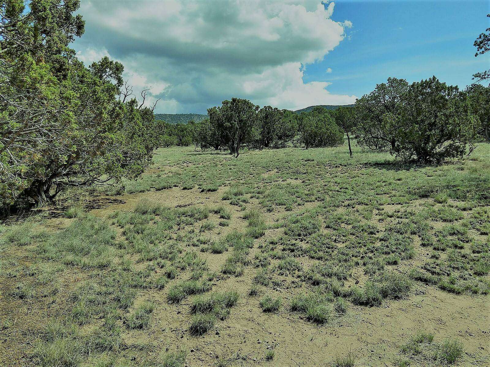 5.23 Acres of Residential Land for Sale in Datil, New Mexico