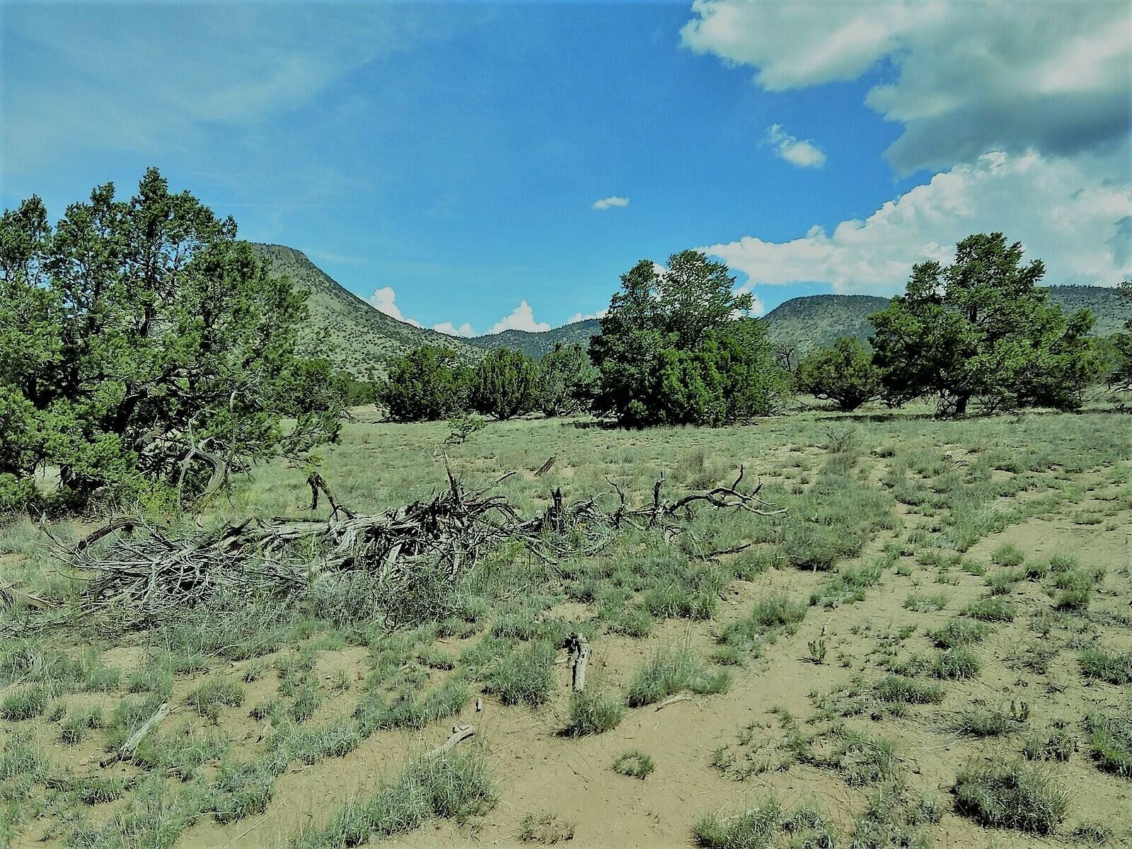 5.2 Acres of Land for Sale in Datil, New Mexico