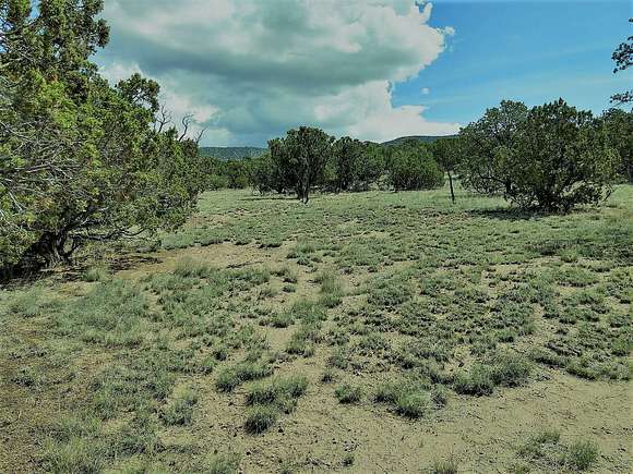 5.23 Acres of Residential Land for Sale in Datil, New Mexico