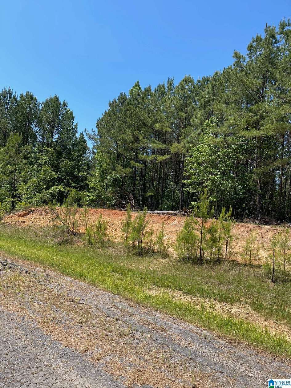 2 Acres of Residential Land for Sale in Sylacauga, Alabama