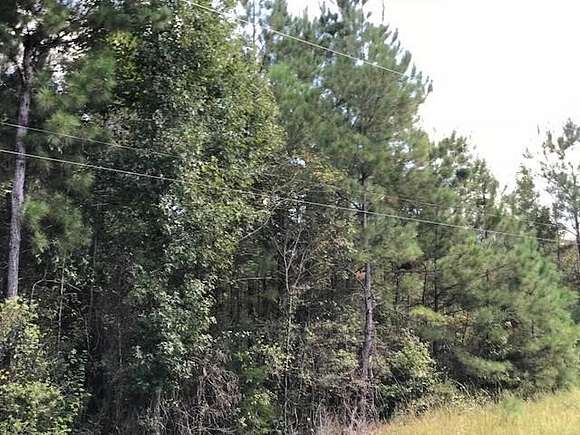 82.9 Acres of Recreational Land for Sale in Waynesboro, Mississippi