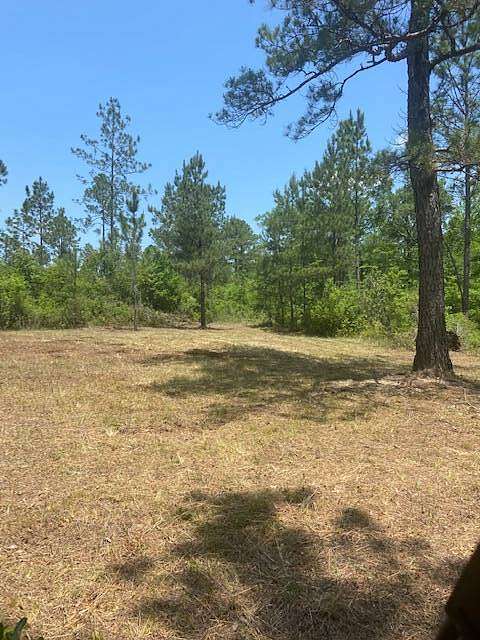 172 Acres of Recreational Land for Sale in McIntosh, Alabama
