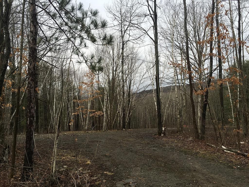 5 Acres of Land for Sale in Campbell, New York LandSearch