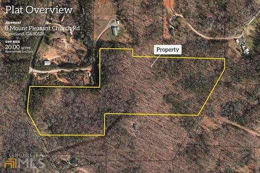 20 Acres of Land for Sale in Cleveland, Georgia