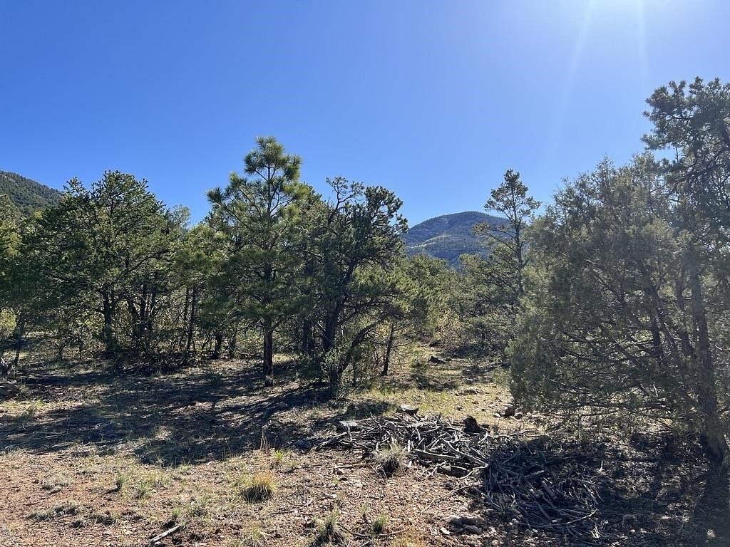 2 Acres of Land for Sale in Arroyo Seco, New Mexico