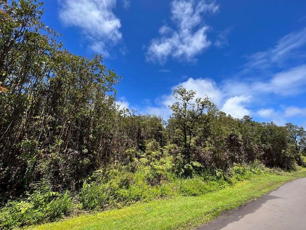 Land For Sale Mountain View Hawaii