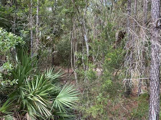 0.2 Acres of Residential Land for Sale in Wakulla Springs, Florida