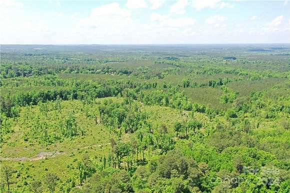 156 Acres of Land for Sale in Wadesboro, North Carolina