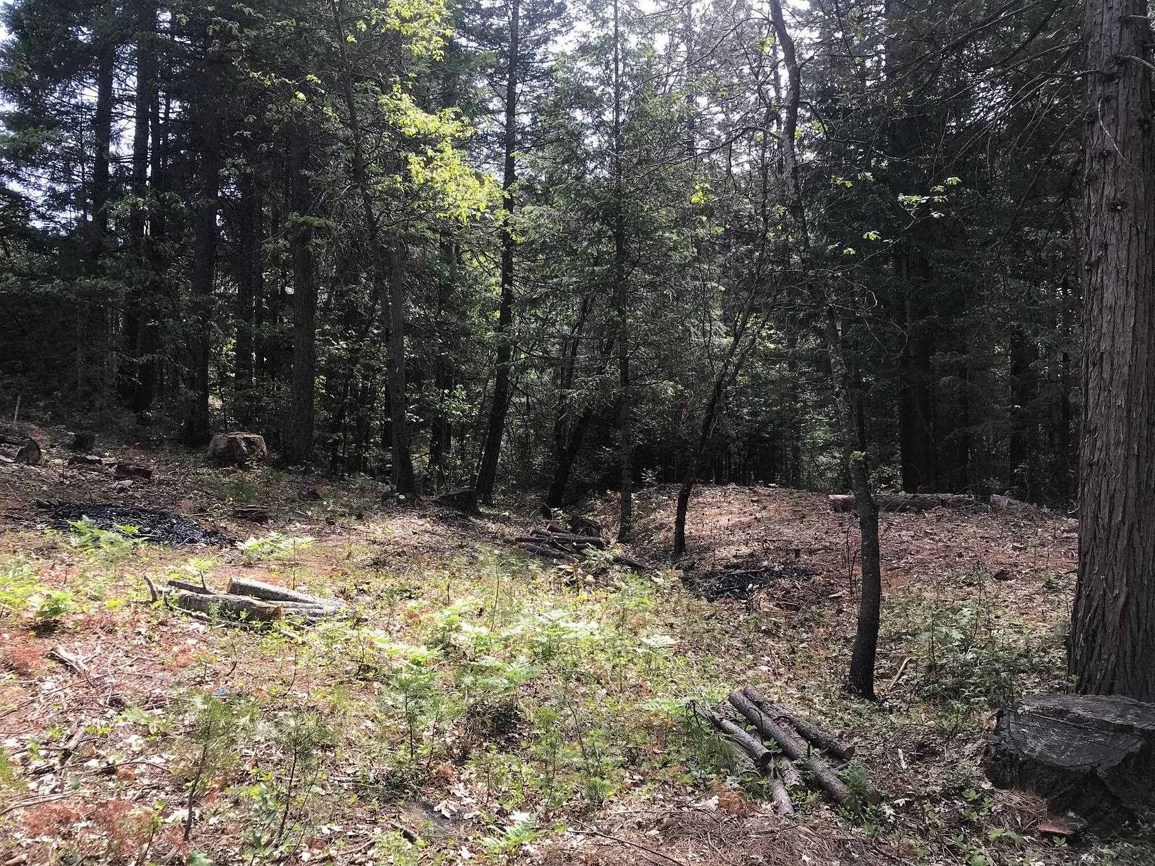 0.31 Acres of Residential Land for Sale in Dunsmuir, California