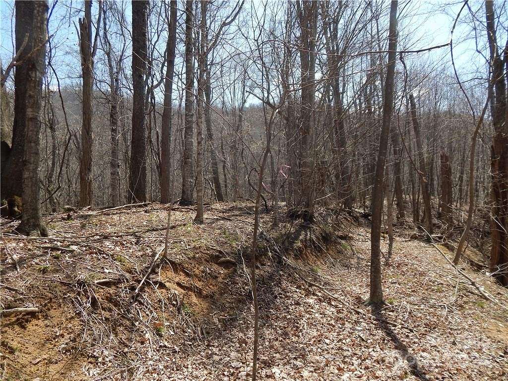 4.6 Acres of Land for Sale in Spring Creek, North Carolina