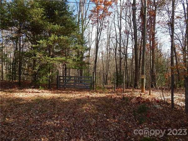 44.4 Acres of Recreational Land for Sale in Clyde, North Carolina