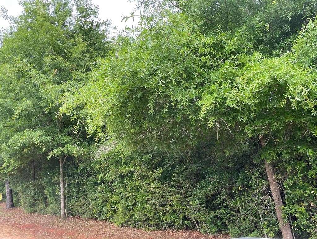 1.8 Acres of Residential Land for Sale in Enterprise, Alabama