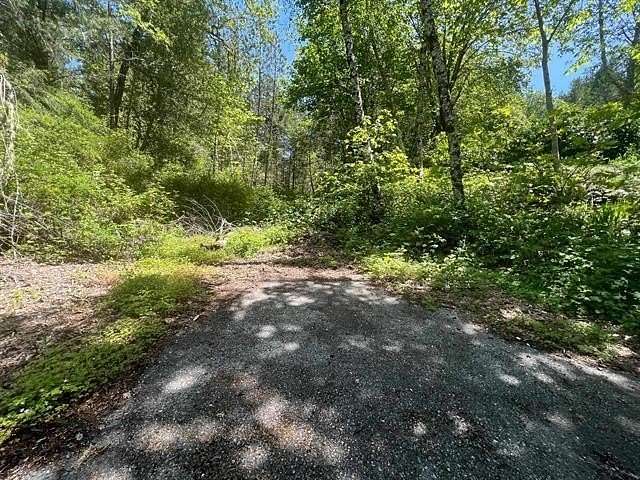 76.7 Acres of Recreational & Residential Land for Sale in Gasquet, California
