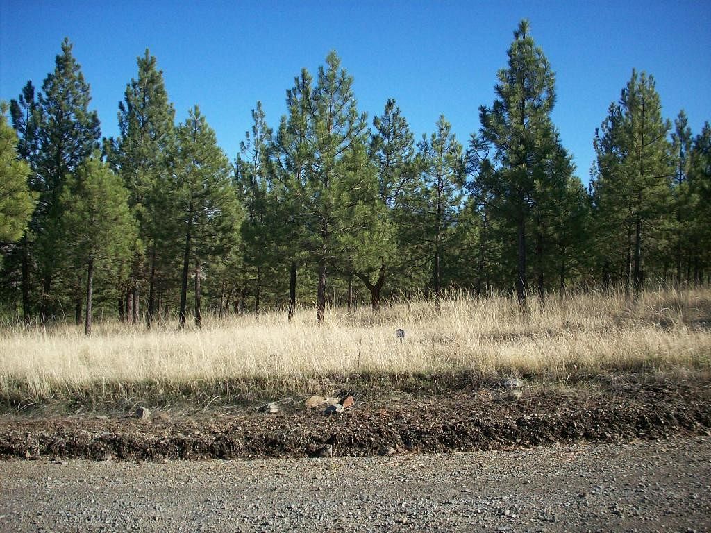 1 Acres of Residential Land for Sale in Plains, Montana