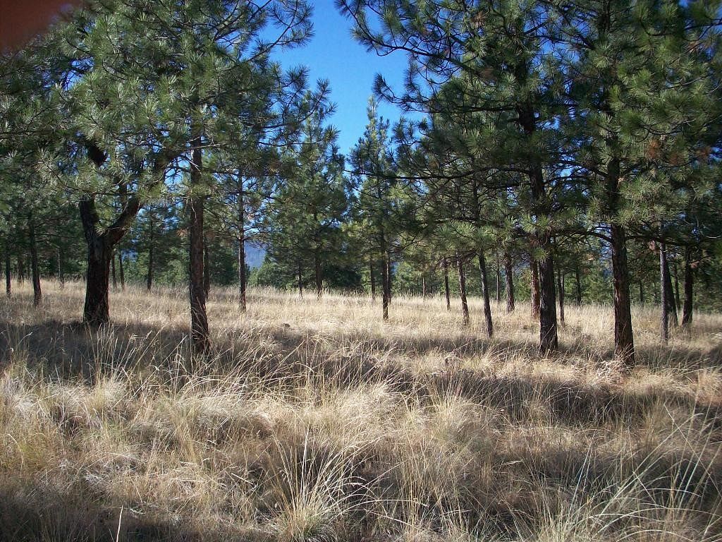 1.2 Acres of Residential Land for Sale in Plains, Montana