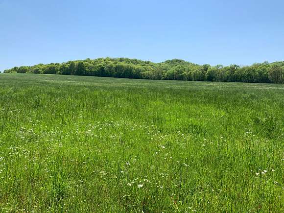 110 Acres of Land for Sale in College Grove, Tennessee