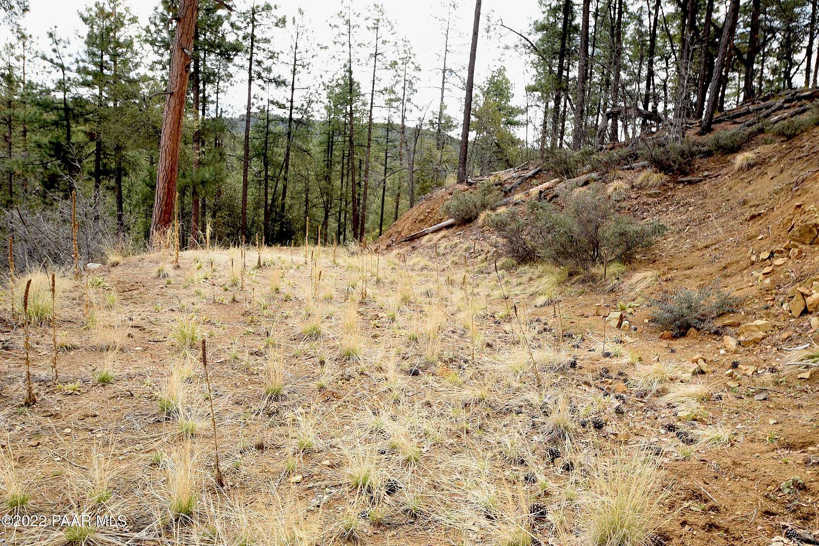 1 Acre of Residential Land for Sale in Prescott, Arizona