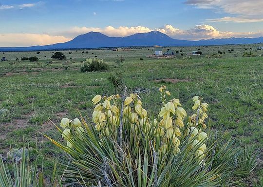 3.2 Acres of Residential Land for Sale in Walsenburg, Colorado