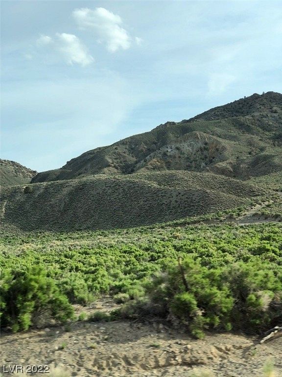 11.04 Acres of Land for Sale in Dyer, Nevada