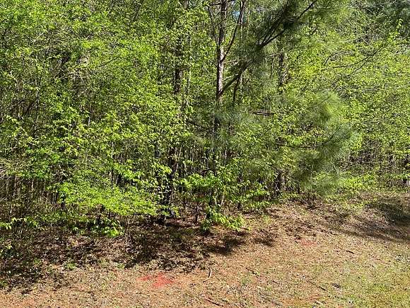 0.29 Acres of Residential Land for Sale in Ivey, Georgia