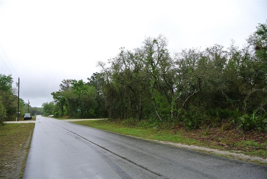 0.47 Acres of Residential Land for Sale in Webster, Florida