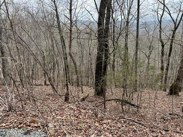 3.7 Acres of Residential Land for Sale in Allons, Tennessee