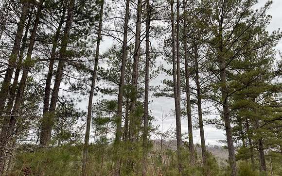 1.117 Acres of Residential Land for Sale in Blairsville, Georgia