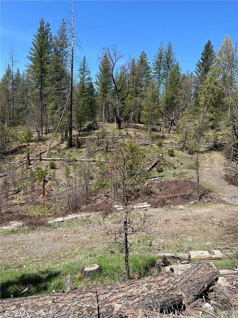 4.55 Acres of Land for Sale in Coulterville, California