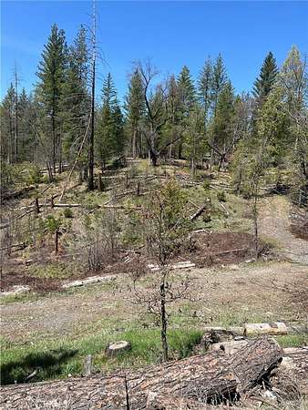 4.55 Acres of Land for Sale in Coulterville, California